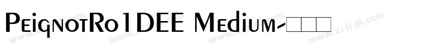 PeignotRo1DEE Medium字体转换